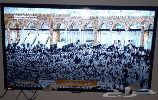 حي العاقول المدينه المنوره 11