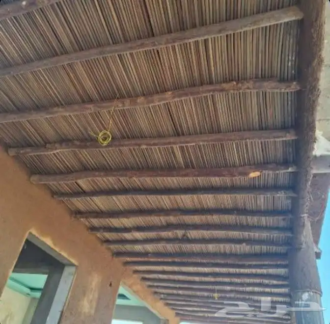 التراث زينه واصاله لتواصل على 1