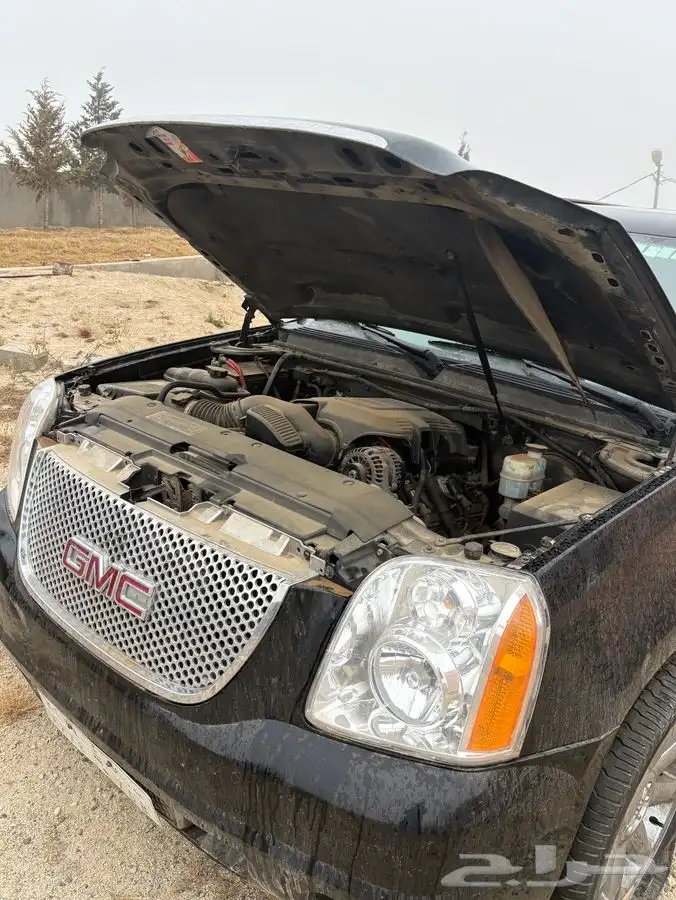 جي ام سي XL دينالي 2009 للبيع 13