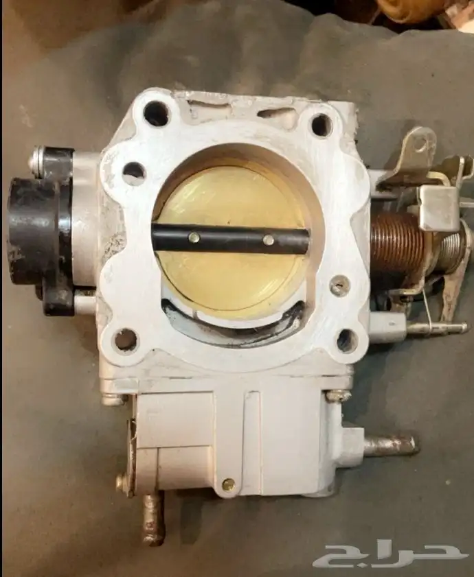 بوابه ثروتل مكسيما 2008 2000 1