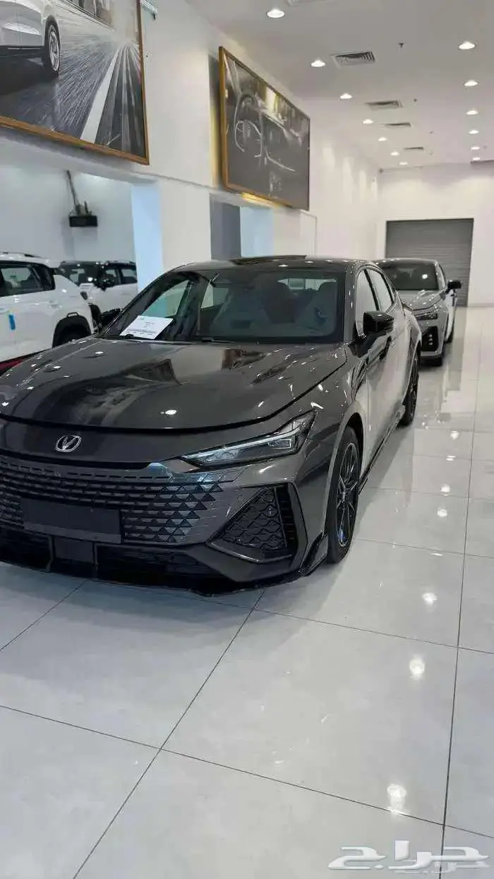 شانجان يوني في سبورت واليت 2026 11