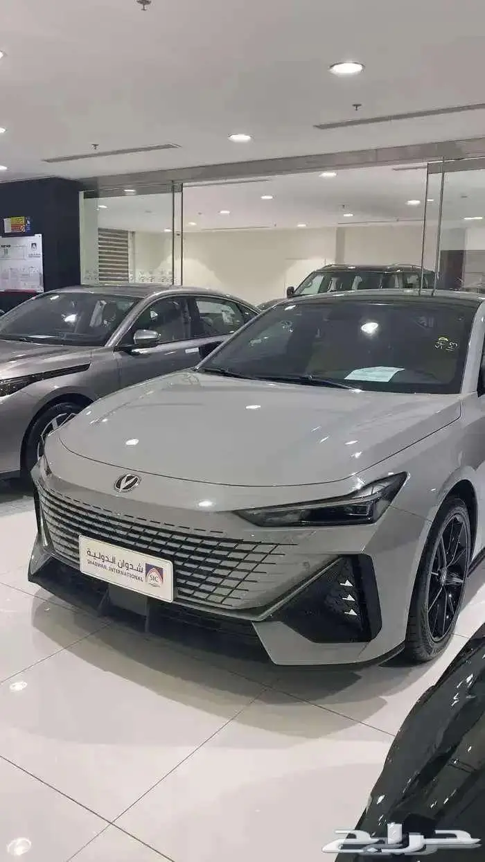 شانجان يوني في سبورت واليت 2026 6