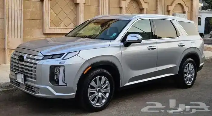 باليسيد 2024 0