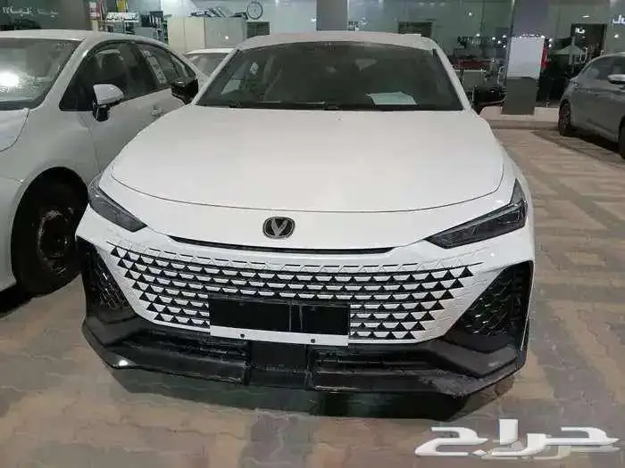 شانجان يوني في سبورت واليت 2026 2