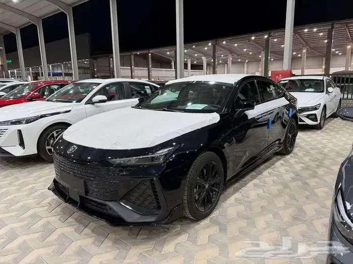 شانجان يوني في سبورت واليت 2026 7