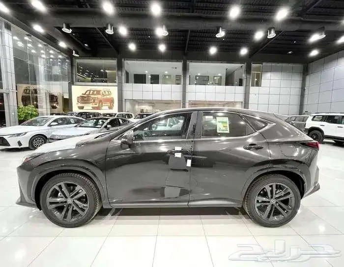 لكزس NX 350 AA بنزين ستاندر سعودي 2026 4