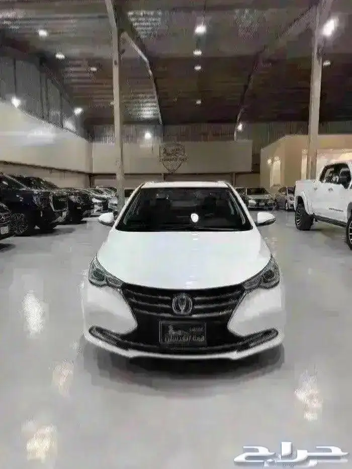 شانجان السفن 2023 فل كامل 0