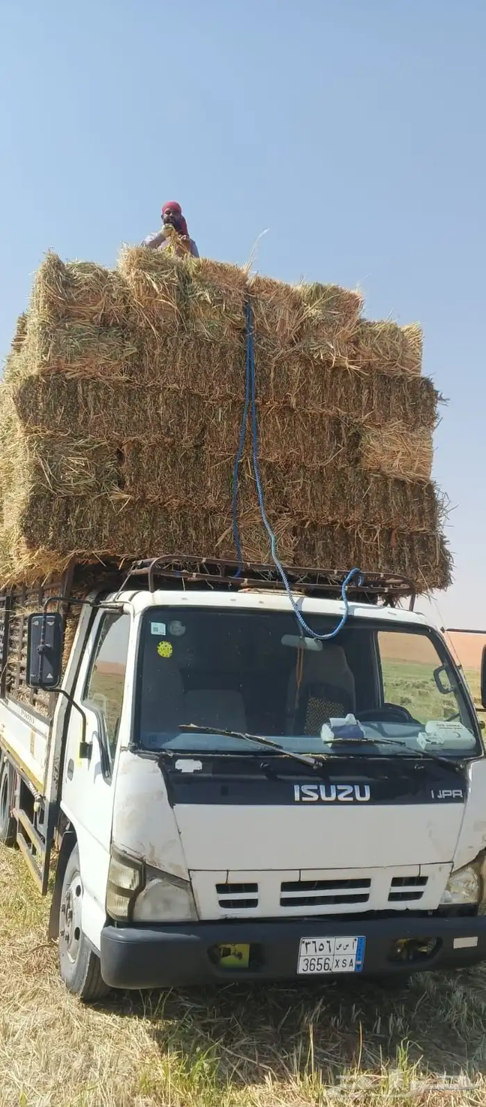 جميع انواع الاعلاف 1