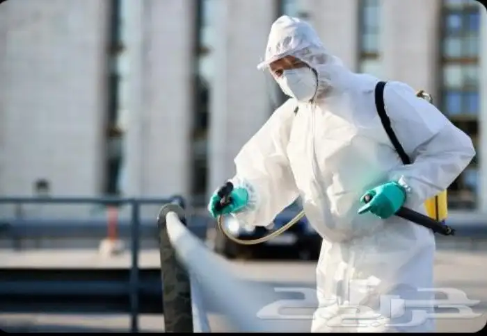 أدوات مكافحة البق النمل الباعوض بالمدينة المنورة 0