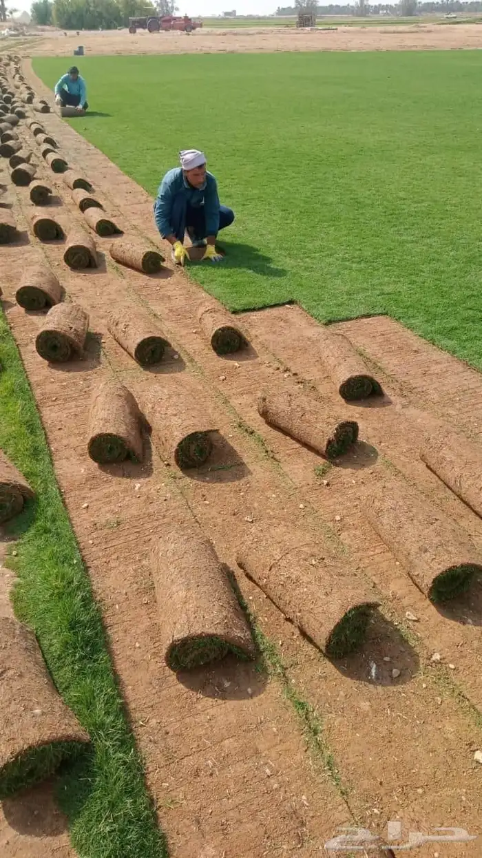 تنسيق حدائق وتركيب جميع انواع الثيل الصناعى والطبيعى وتركيب 1