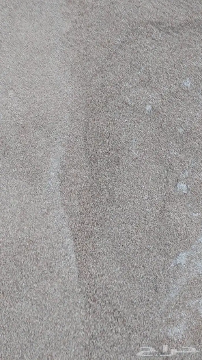 رمل مساح رمل عادي كنكري طابوق سيمنت 1