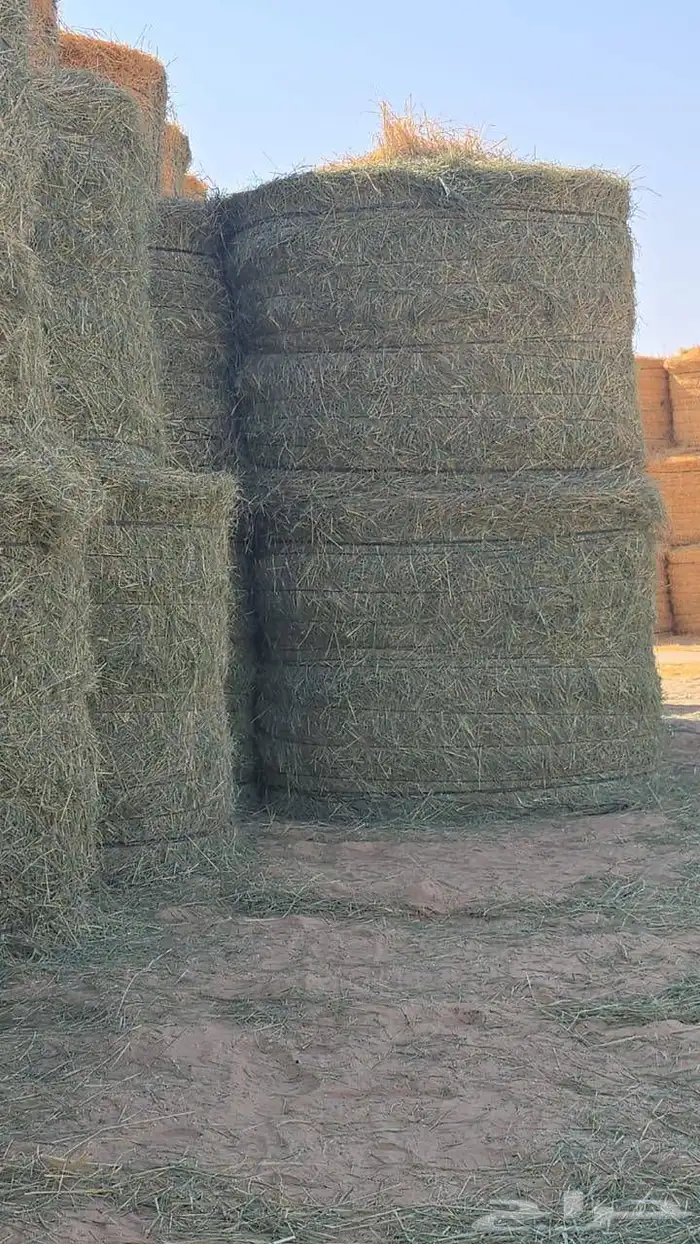 جميع انواع الاعلاف 3