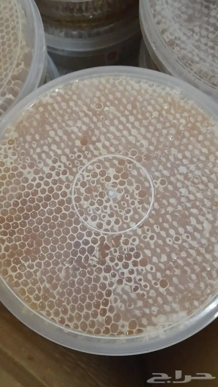 عسل سدر صافى وشمع مشروط 1