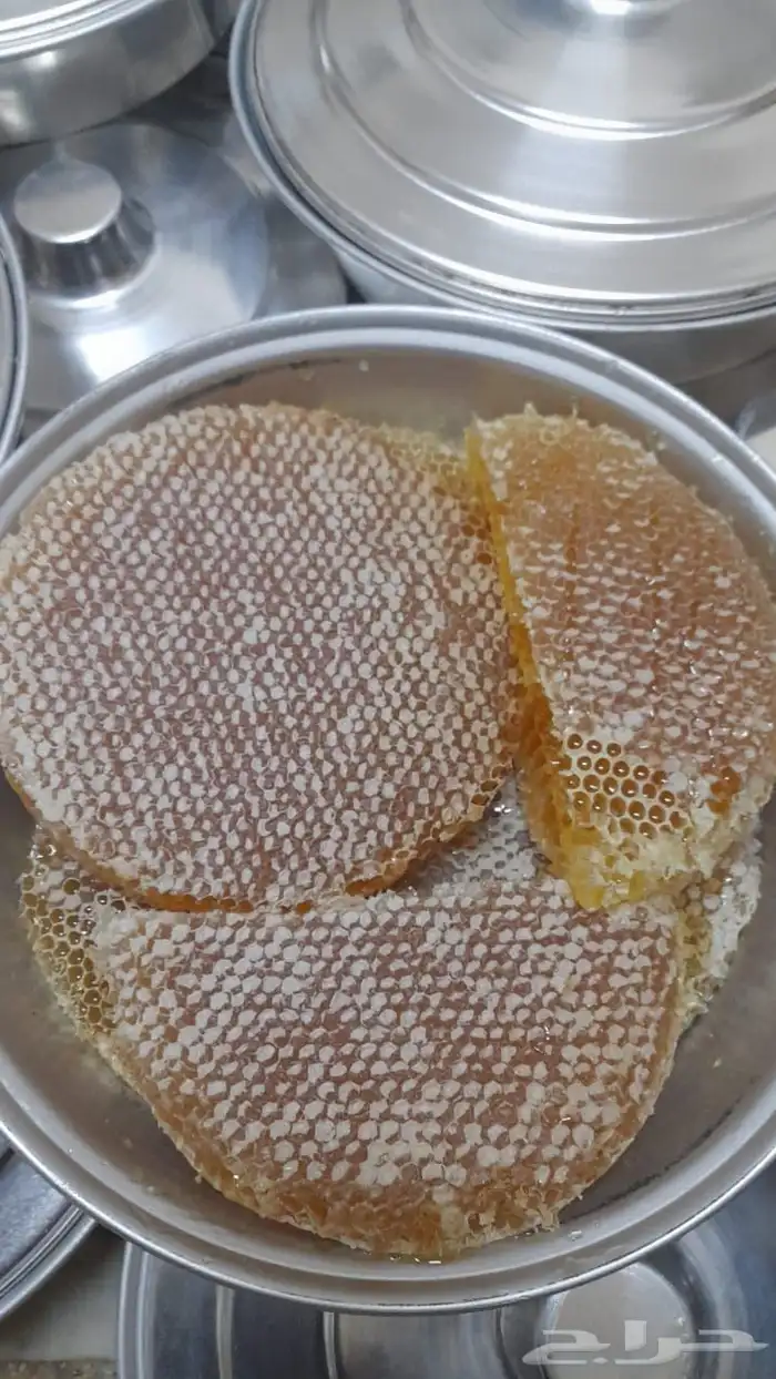 عسل سدر صافى وشمع مشروط 0