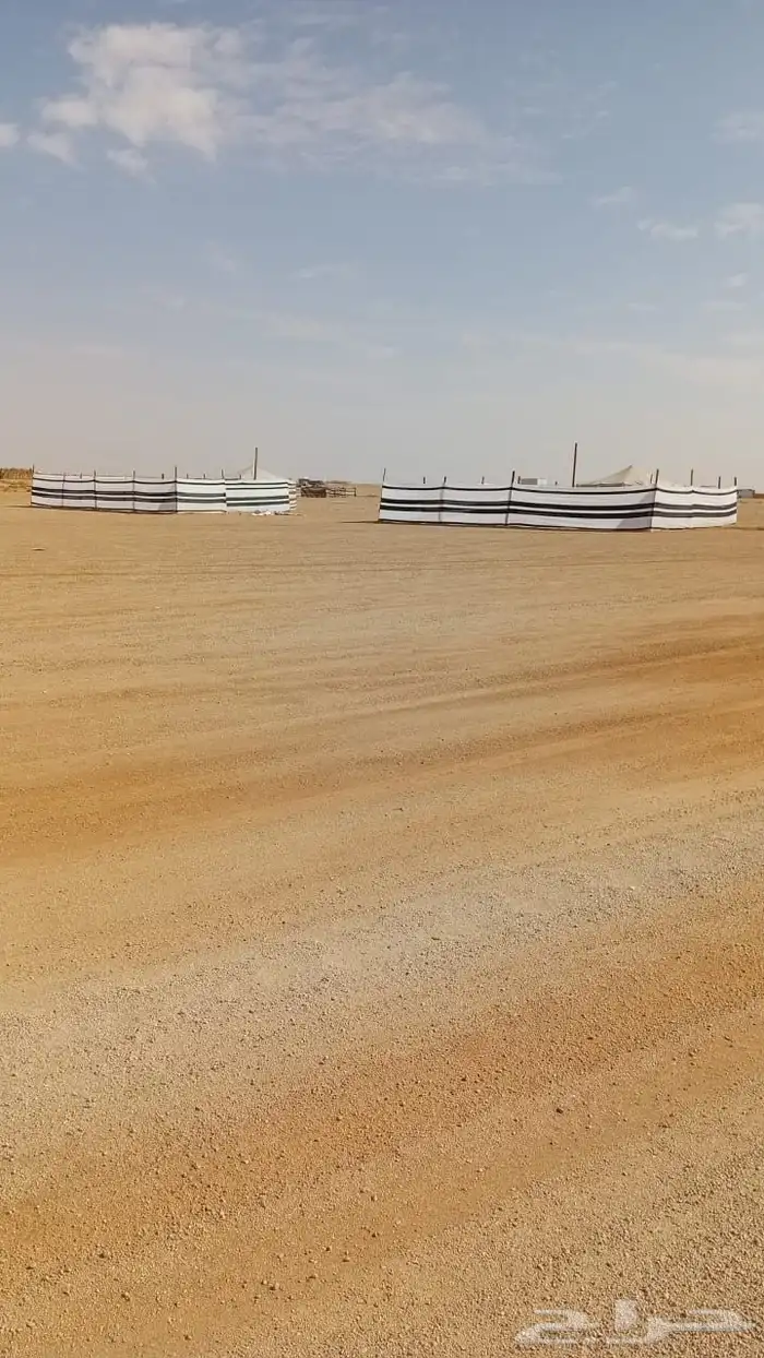 للبيع مخيمين صغار بجنب بعض 4