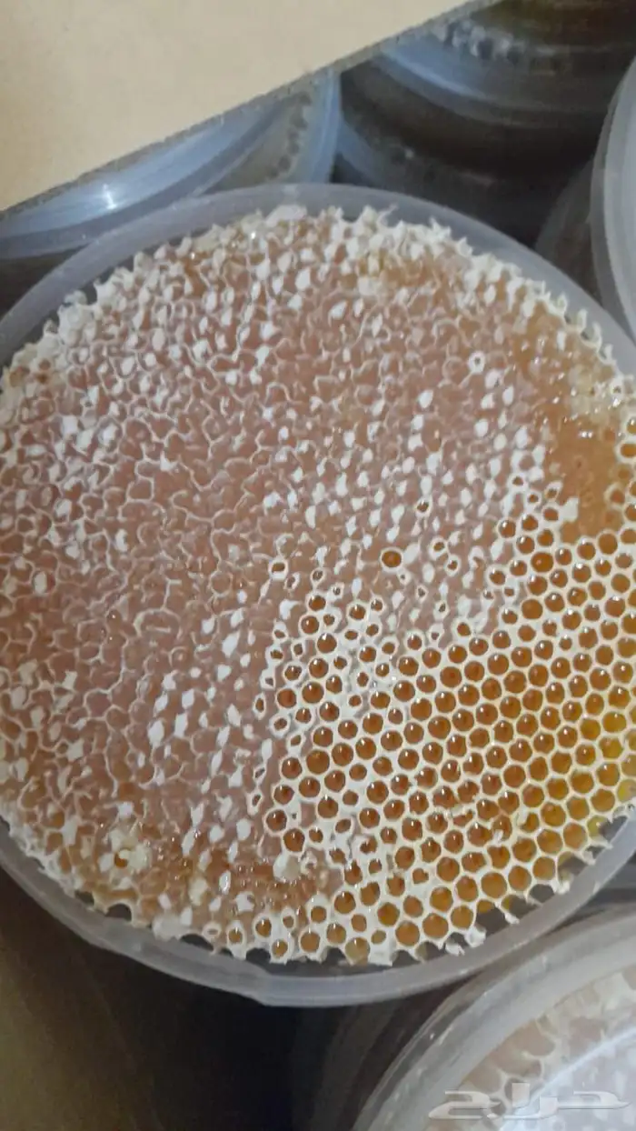 عسل سدر صافى وشمع مشروط 2