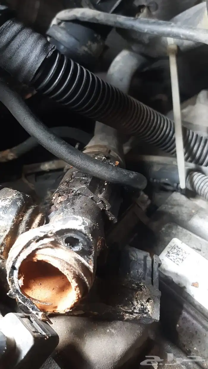 صيانة. السيارات. الألمانية 70