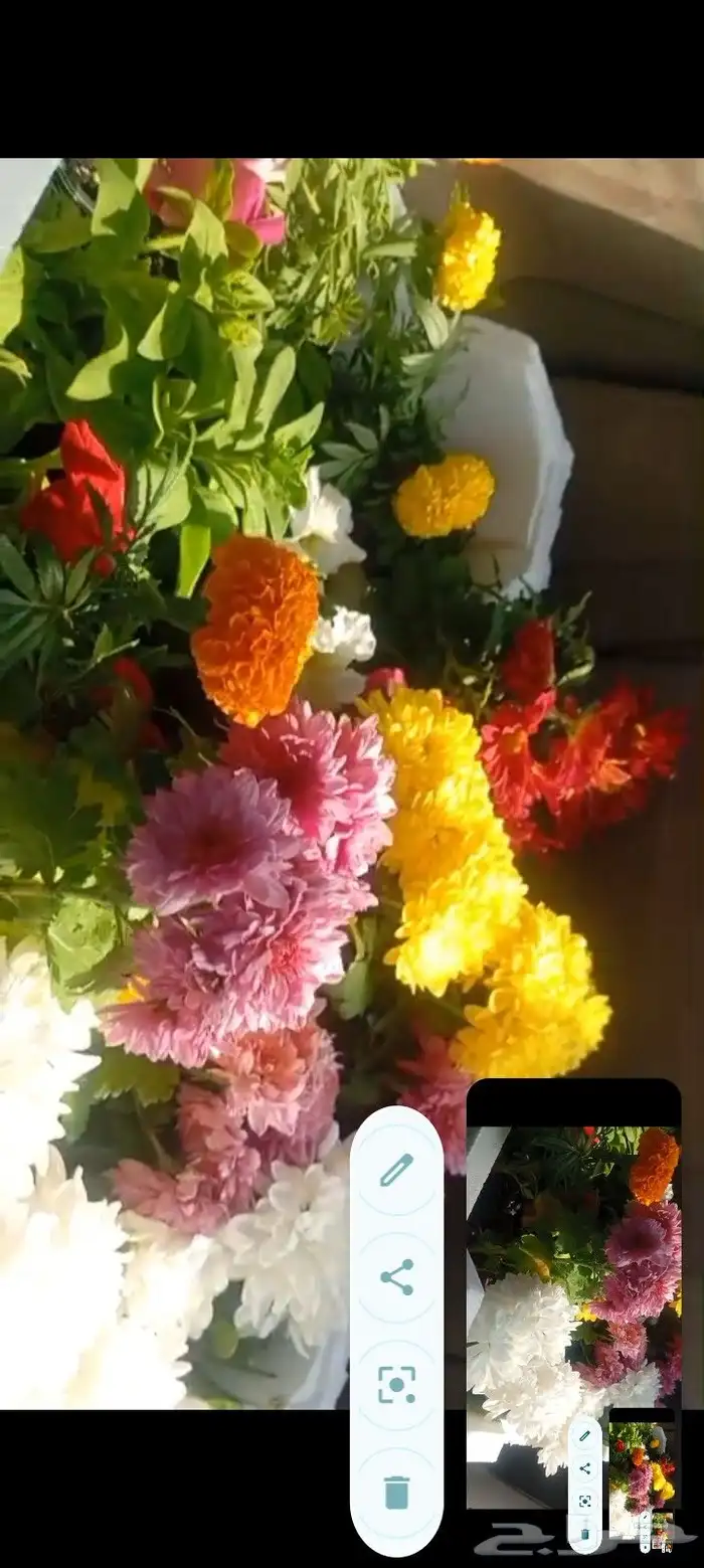 ورد وريحان طبيعي للبيع 1