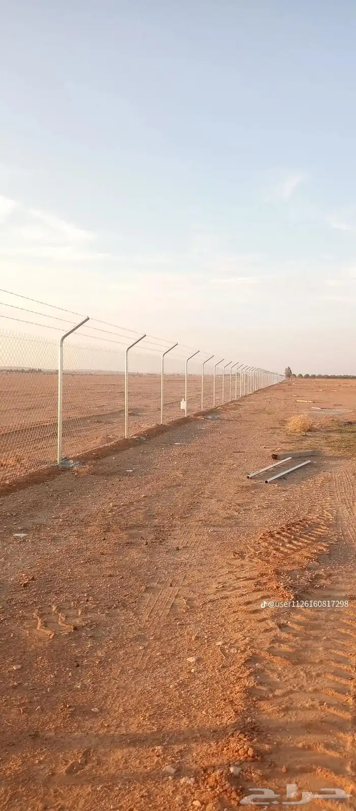 نخل للبيع جميع جميع الأنواع متوفره وجميع المقاسات.وكما يوجد 5