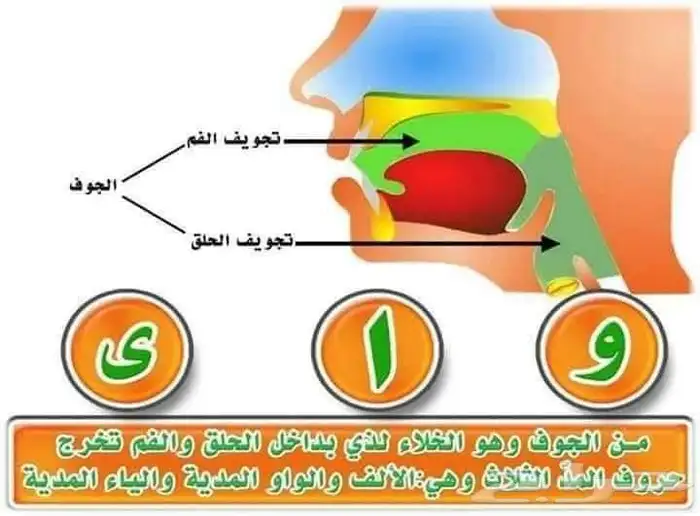 معلم تأسيس وقرآن ونور البيان وتجويد للأطفال وكبار السن 8