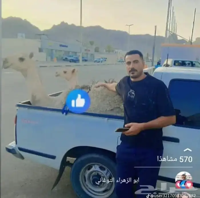 جزار مصري مقيم بالسعودية ببحث عن أي عمل في اي ملحمه 0