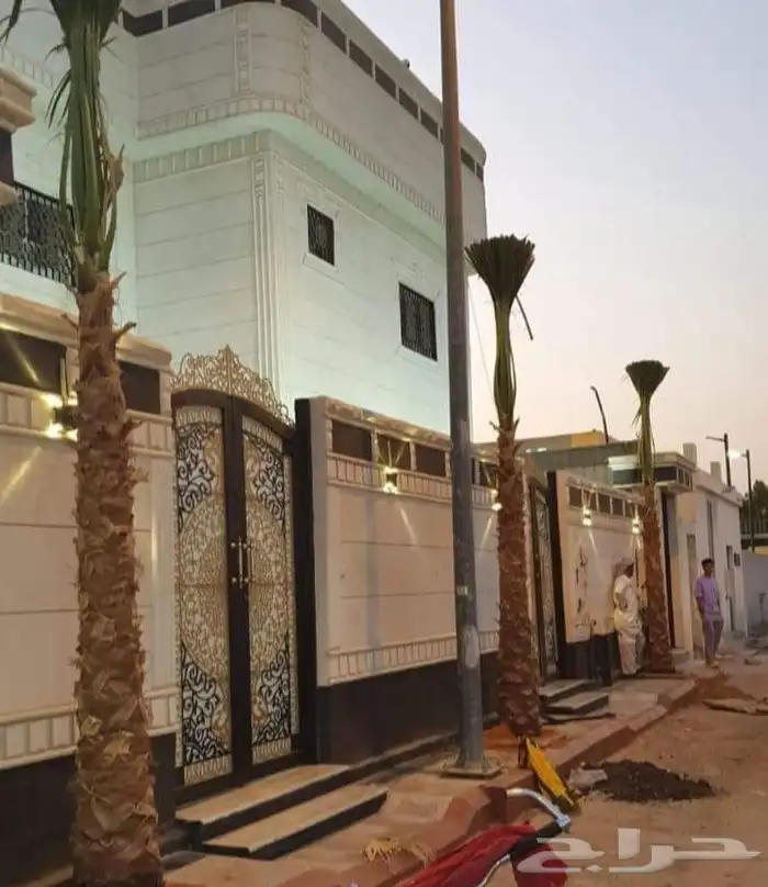 نخل للبيع جميع انواع 5