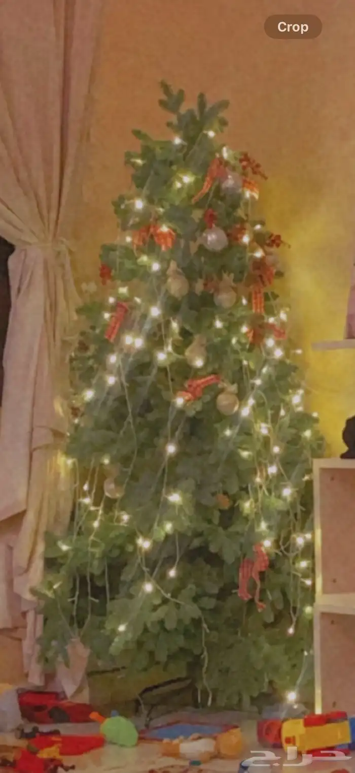 شجرة عيد الميلاد 0