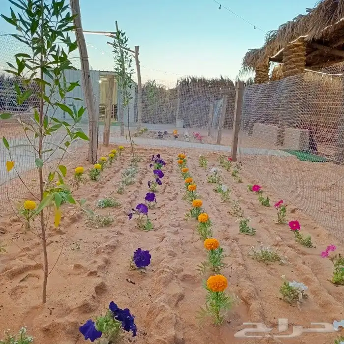 مخيم بيات للاجار اليومي 0