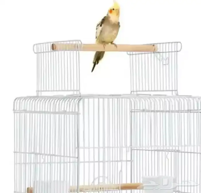 قفص ببغاء 6