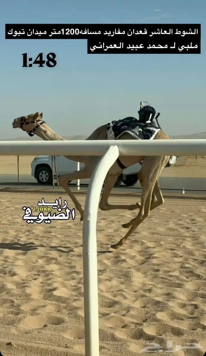 قعود لقي ولد الحصان 2