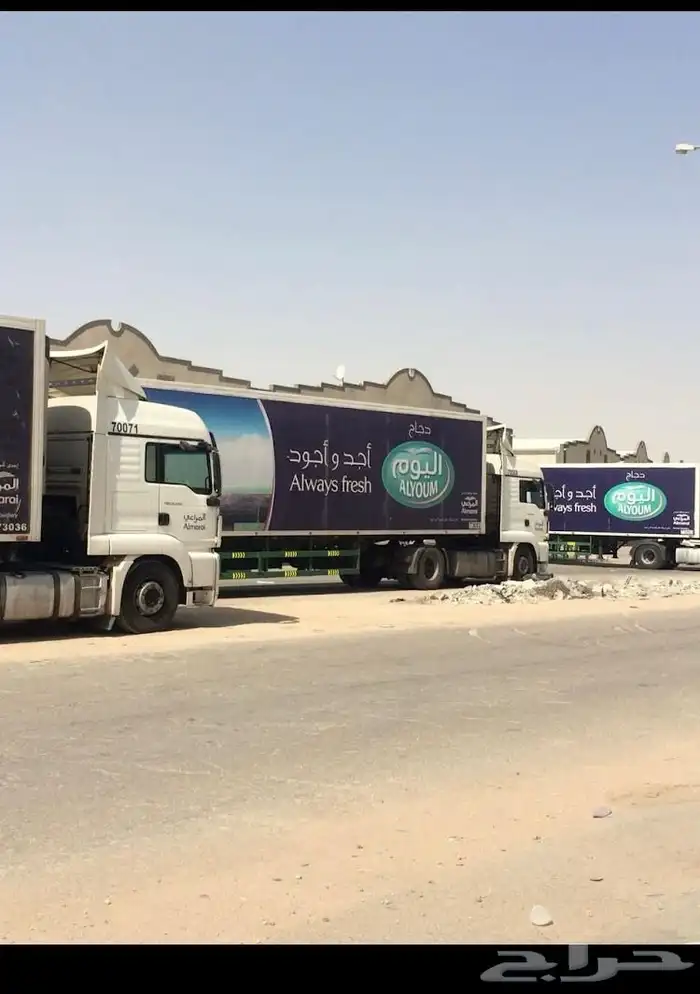 ثلاجه تبريد وتجميد وجاف للتيجار 10