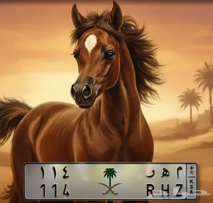 لوحه م ه ر 114 0