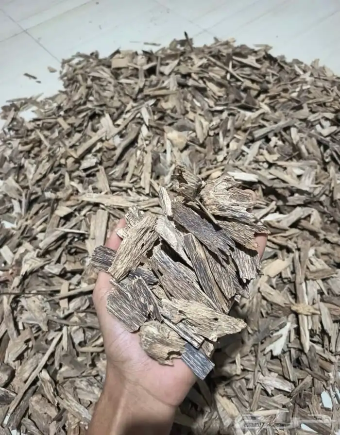 عود سومطري طبيعي ( بيع بسعر الجملة للمحلات وللمستخدم ) 0