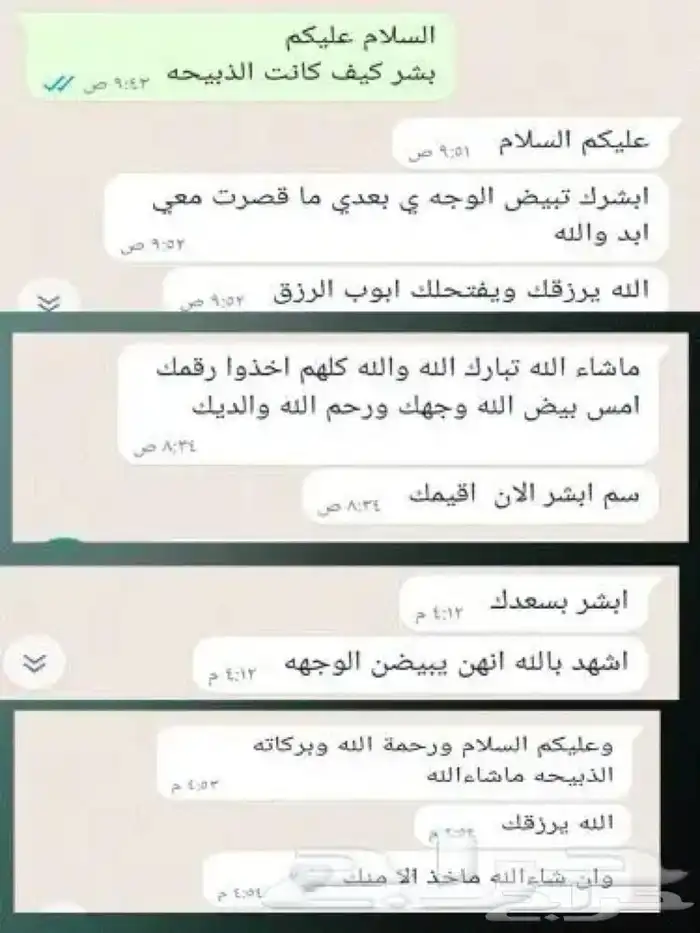 رميح للذبايح.. نحرص على اجود انواع الذبايح 8