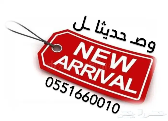 فروخ كروان ( البينو - لتينو ) 1