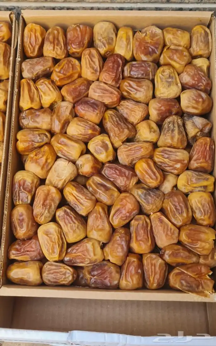 للبيع تمر سكري مفتل فاخر 5