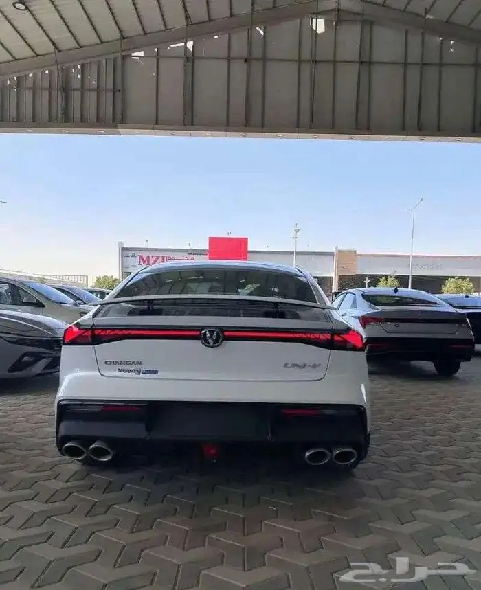 شانجان يونى فى سبورت 2026 6