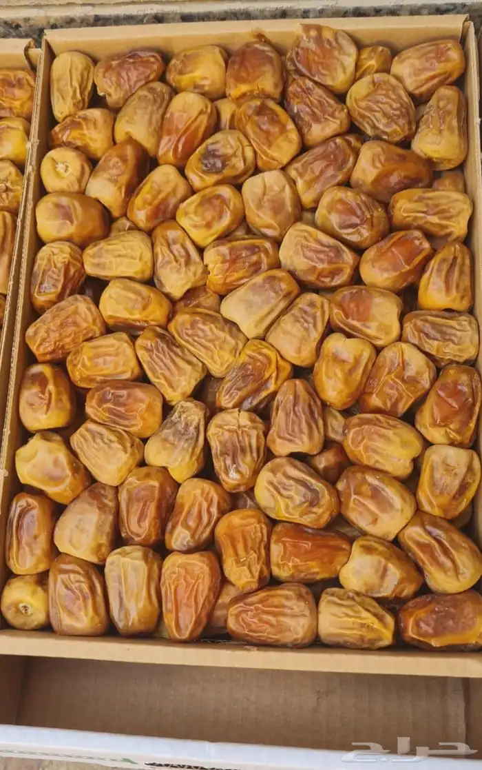 للبيع تمر سكري مفتل فاخر 3