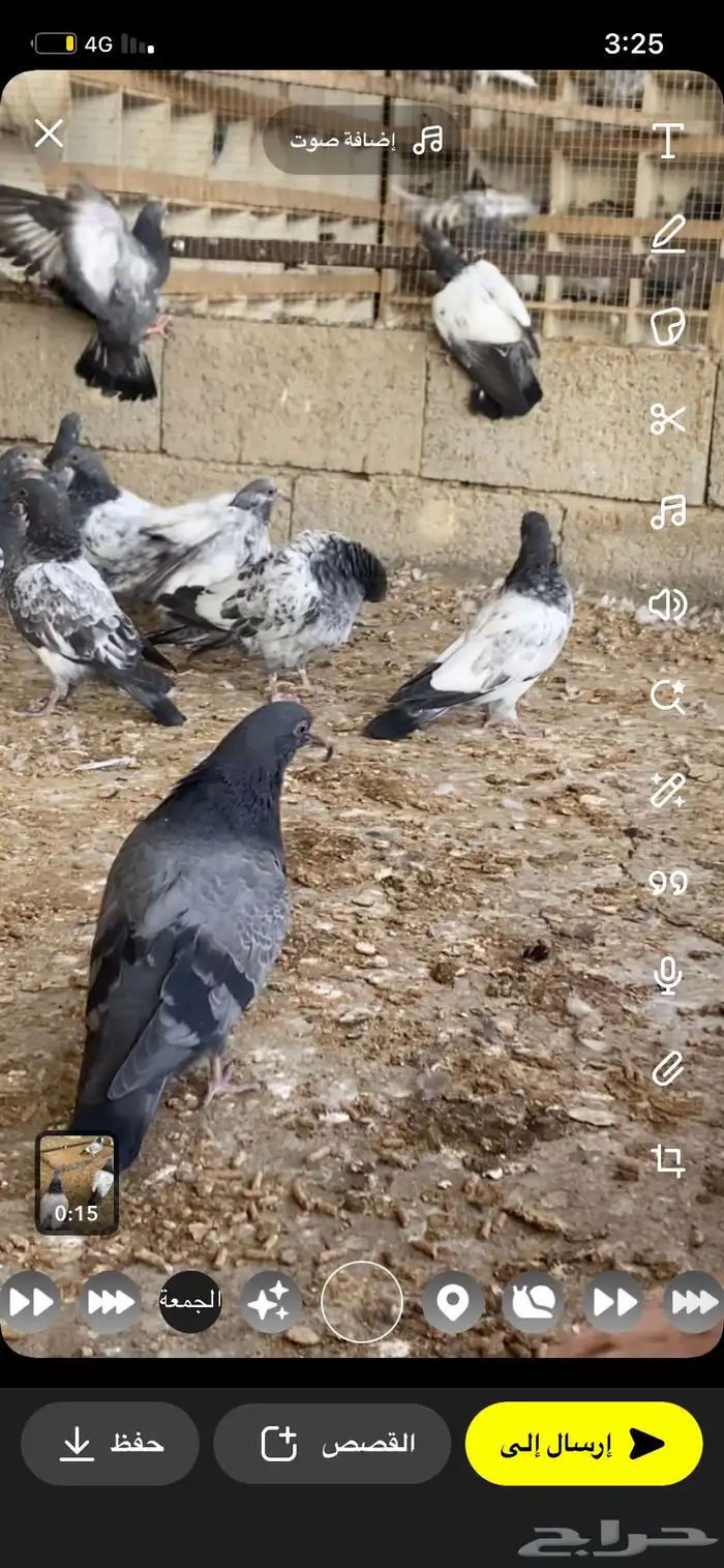 طبات باكستاني 1