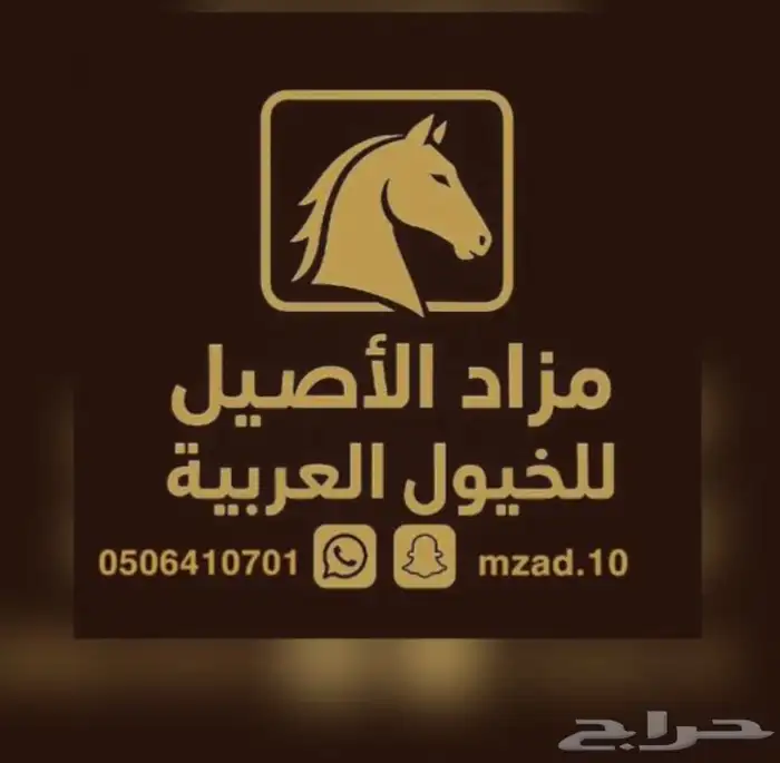 السلام عليكم مزاد بيع خيول 0