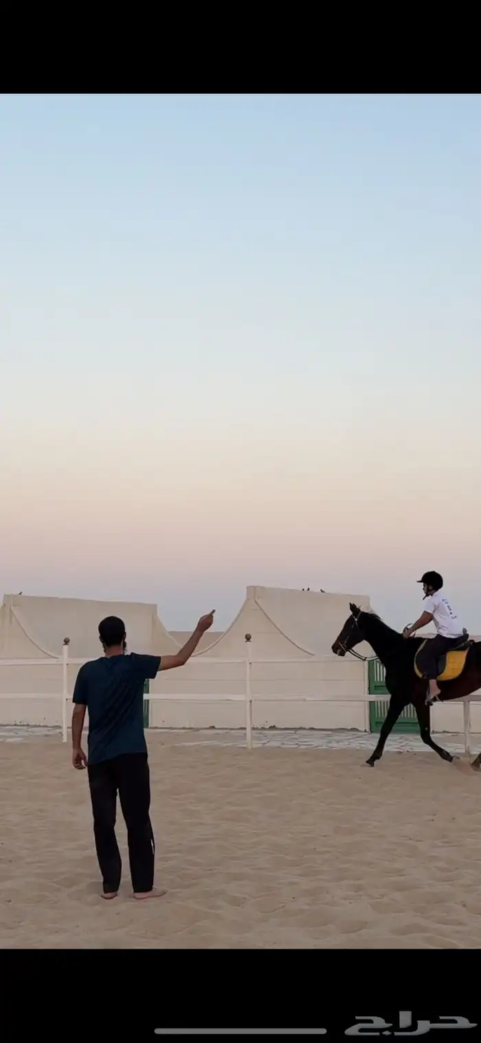 تم فتح التسجيل للتدريب على ركوب الخيل 6