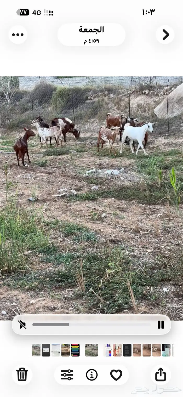 ثلوث المنظر 1