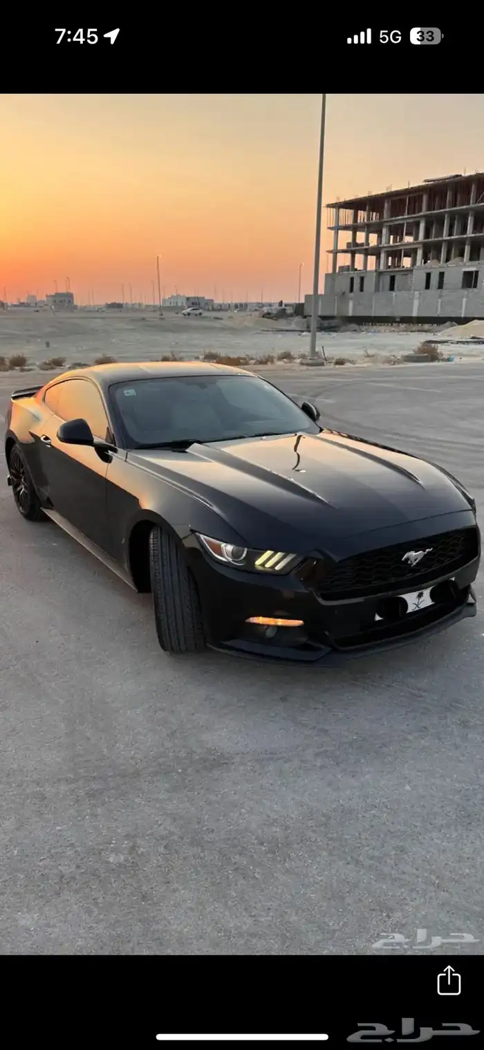 موستنج 2015 بدي وكاله وممشى قليل 5
