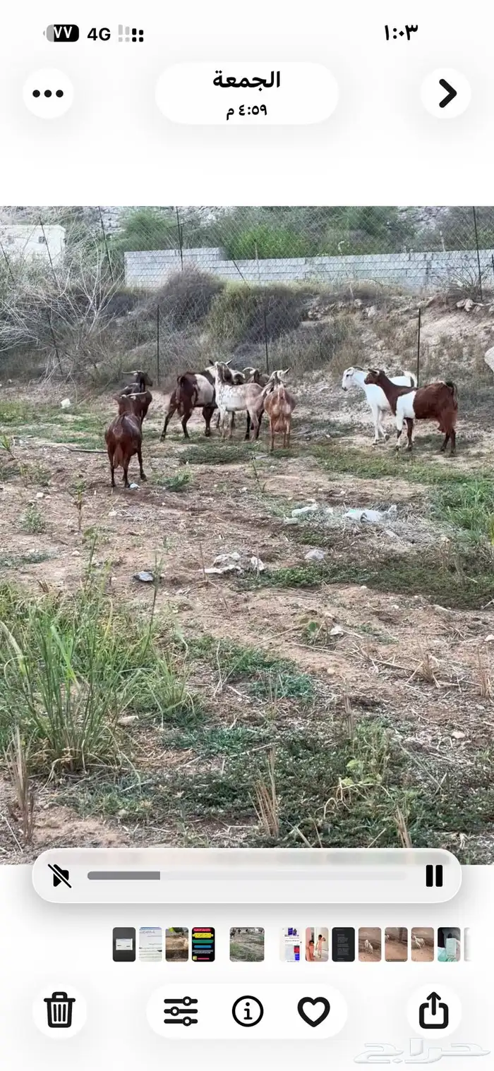 ثلوث المنظر 0