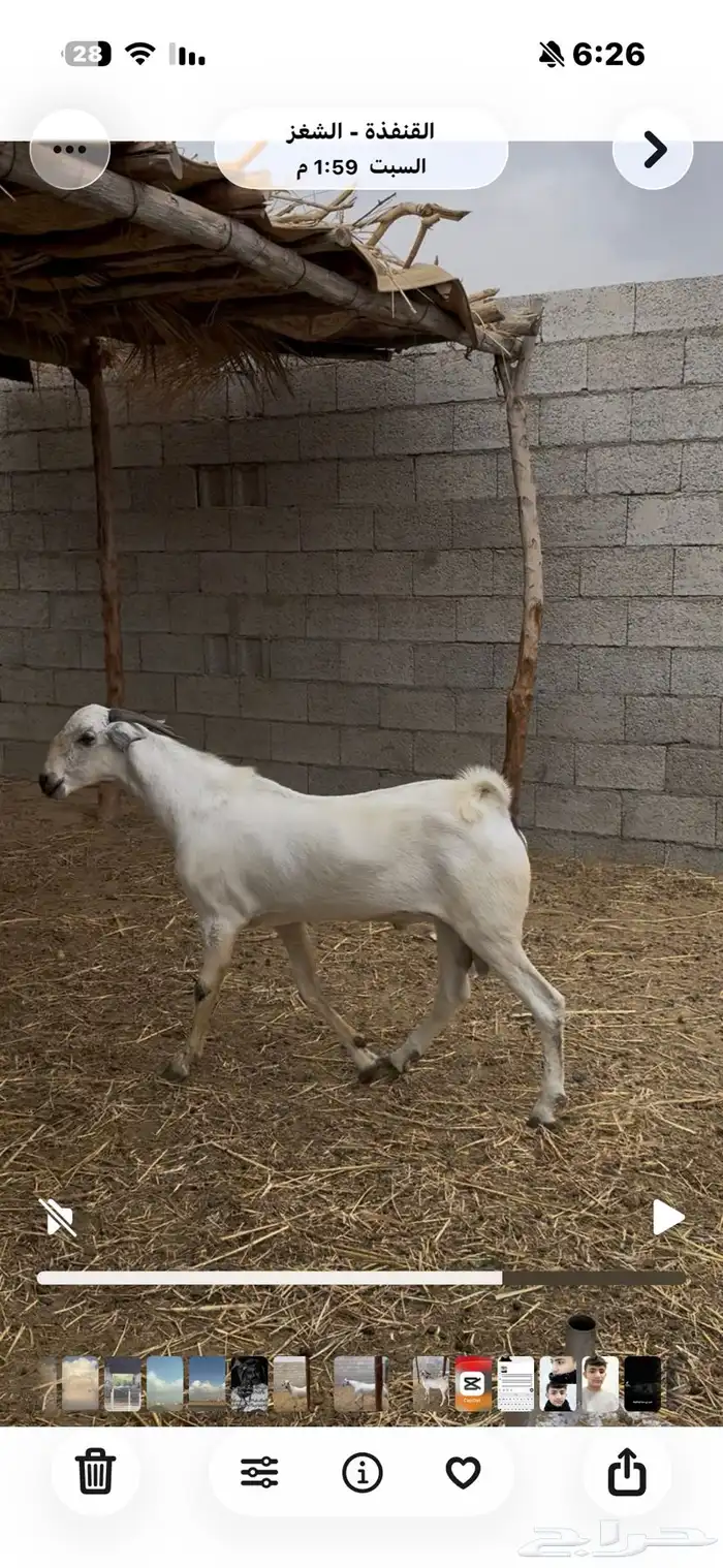 اذكرو الله وصلو على النبي اعرض لكم 1