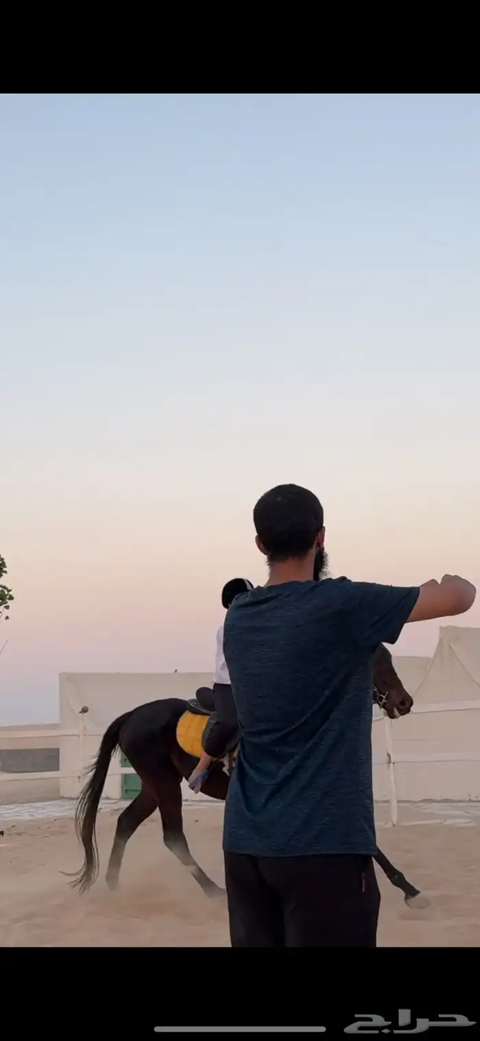 تم فتح التسجيل للتدريب على ركوب الخيل 3