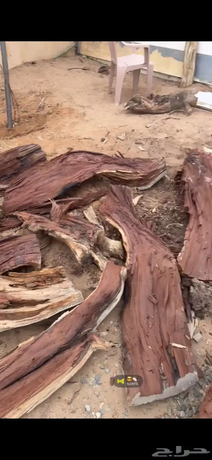 اخشاب و حطب للبيع 0