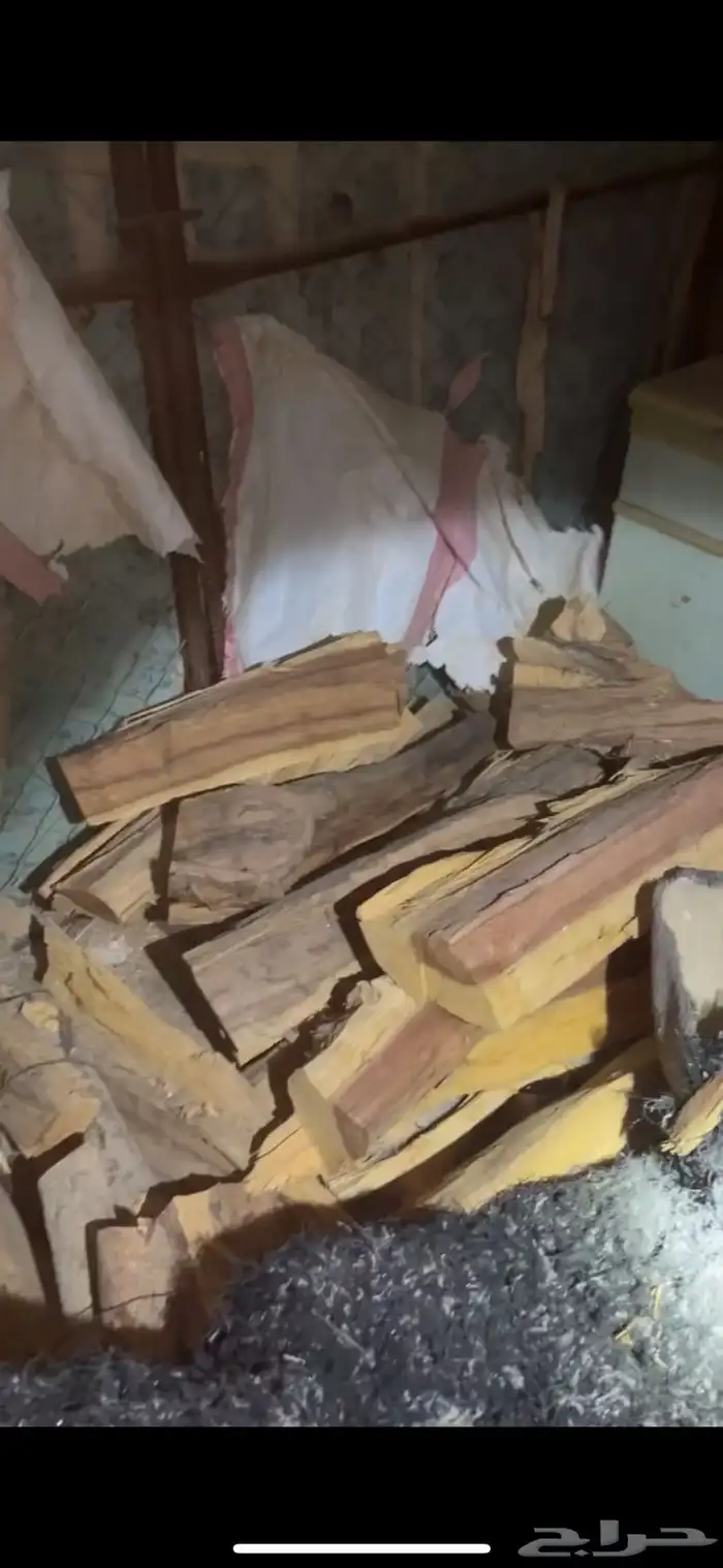 للبيع سمر مستورد 0