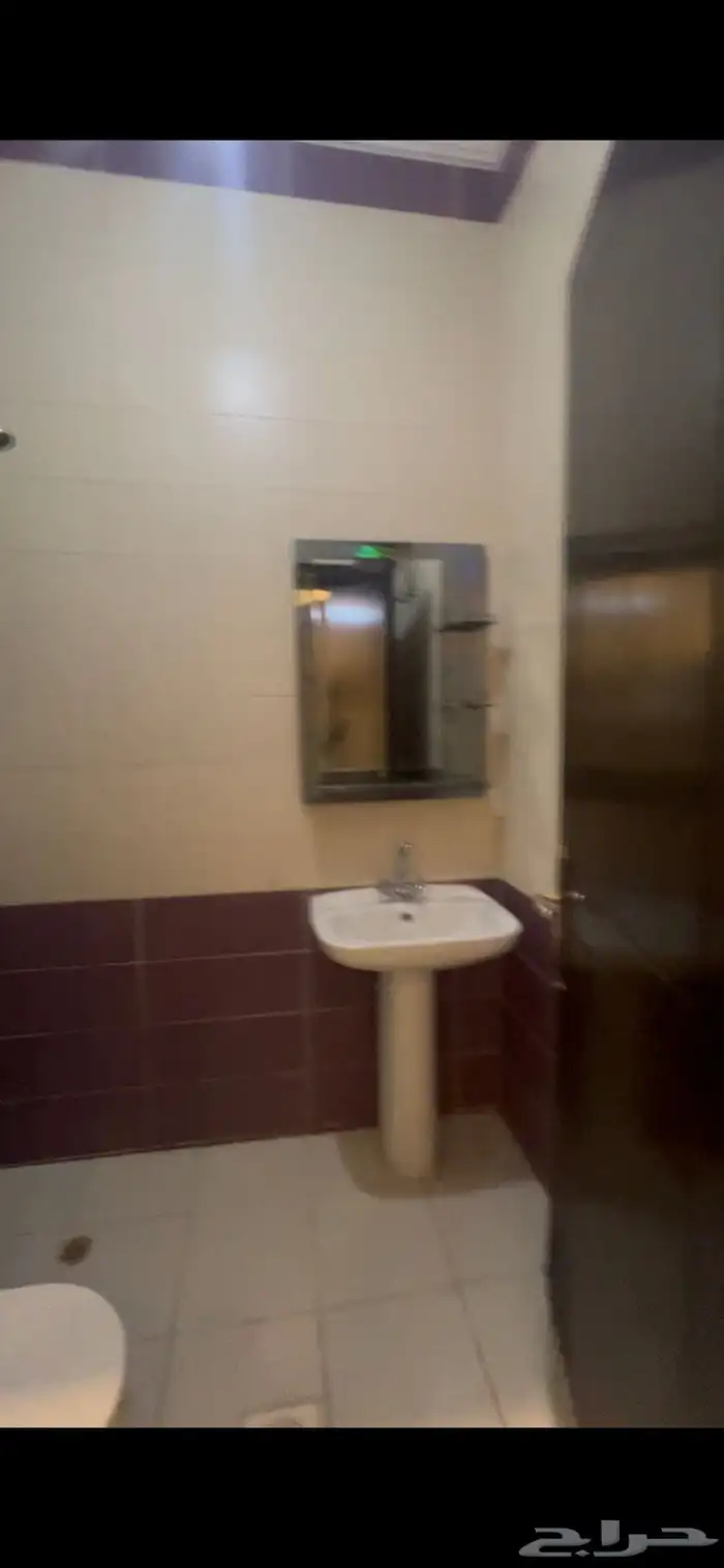 شقه للايجار 7