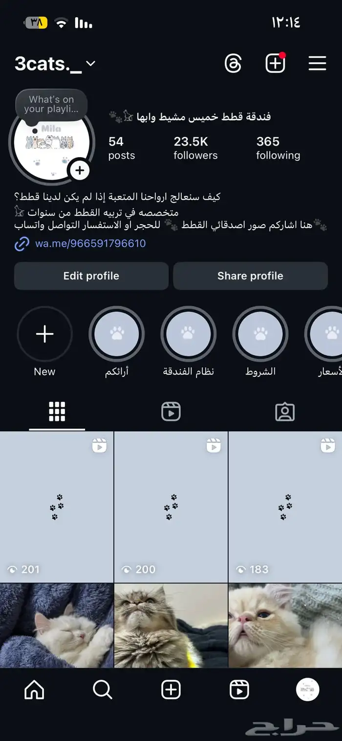 فندقة قطط( الفندقه متاحه للاجازه والعدد محدود) 2